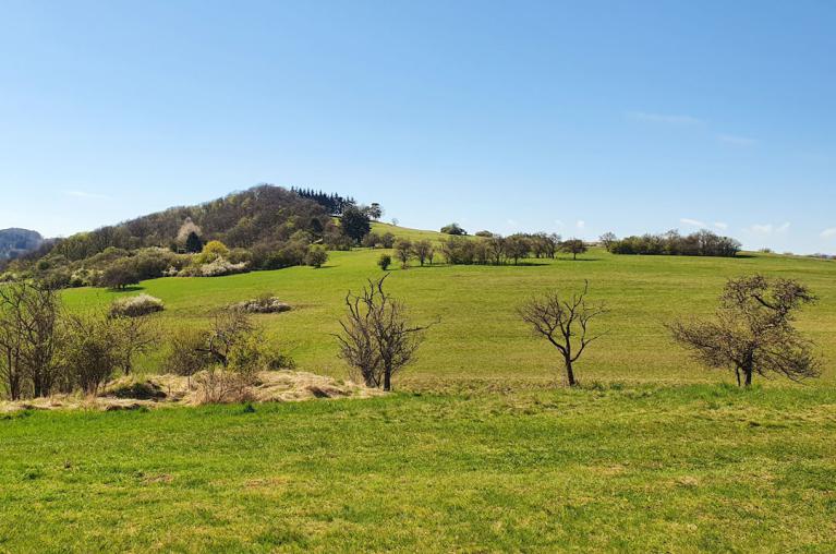 Das Dillenburger Umland.